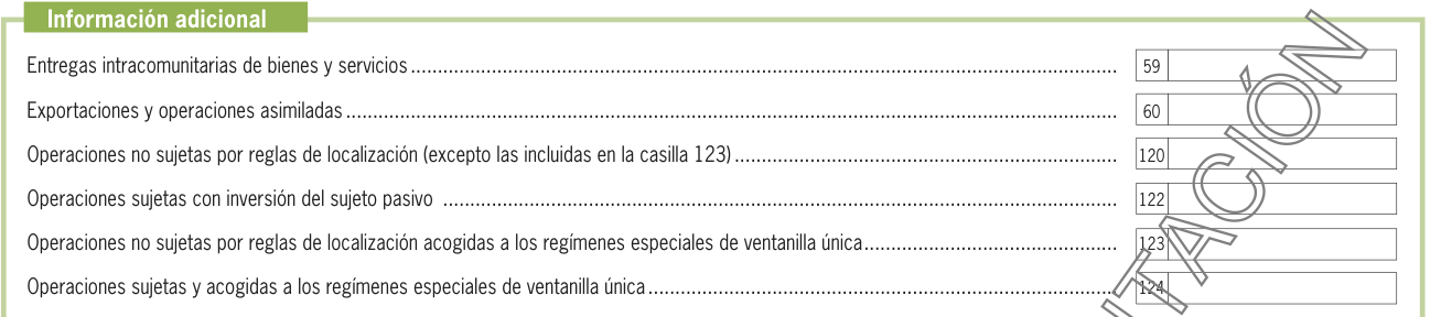 Bloque de información adicional del modelo 303 con las casillas 59, 60, 120, 122, 123 y 124